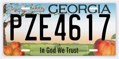 GA license plate PZE4617