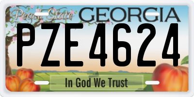 GA license plate PZE4624