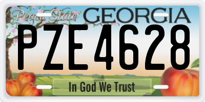 GA license plate PZE4628