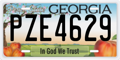 GA license plate PZE4629