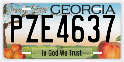 GA license plate PZE4637