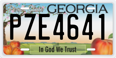 GA license plate PZE4641