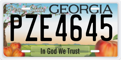 GA license plate PZE4645