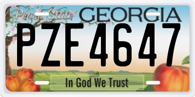 GA license plate PZE4647