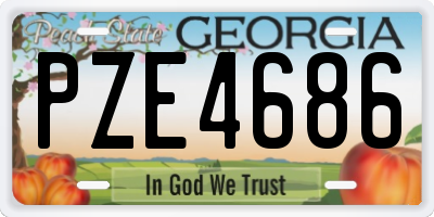 GA license plate PZE4686