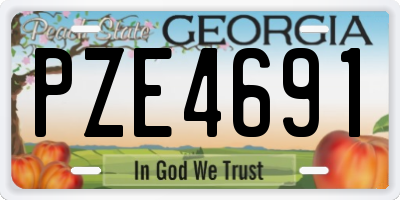 GA license plate PZE4691