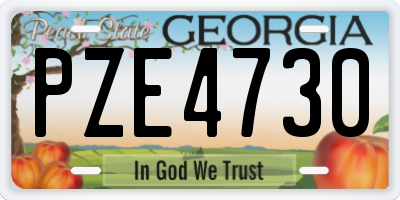 GA license plate PZE4730