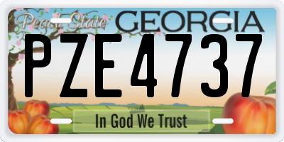 GA license plate PZE4737