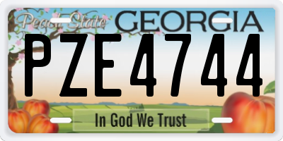GA license plate PZE4744
