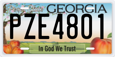 GA license plate PZE4801