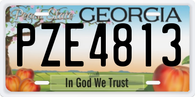 GA license plate PZE4813