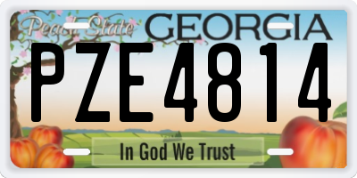 GA license plate PZE4814