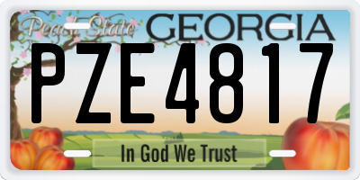 GA license plate PZE4817