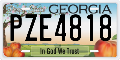 GA license plate PZE4818