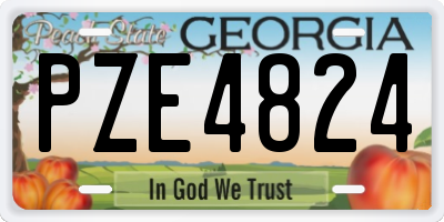 GA license plate PZE4824