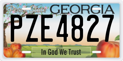 GA license plate PZE4827