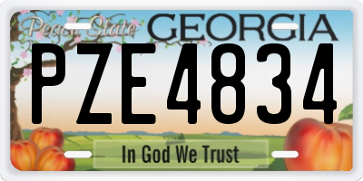 GA license plate PZE4834