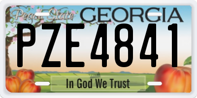 GA license plate PZE4841