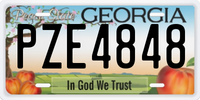 GA license plate PZE4848