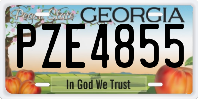 GA license plate PZE4855
