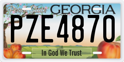 GA license plate PZE4870