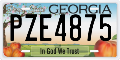 GA license plate PZE4875