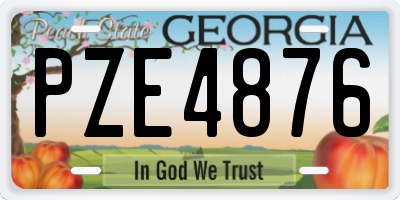 GA license plate PZE4876