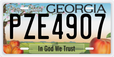 GA license plate PZE4907