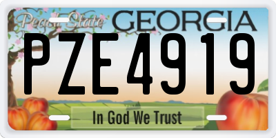GA license plate PZE4919
