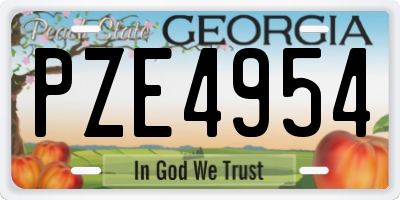 GA license plate PZE4954