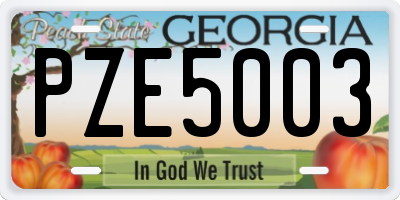 GA license plate PZE5003