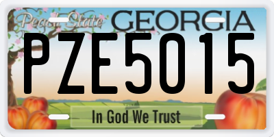GA license plate PZE5015