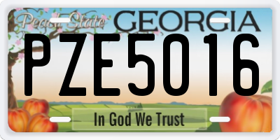 GA license plate PZE5016