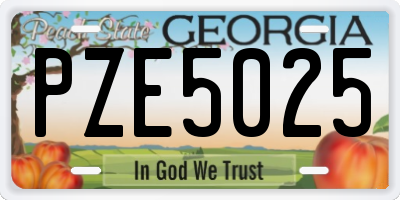 GA license plate PZE5025