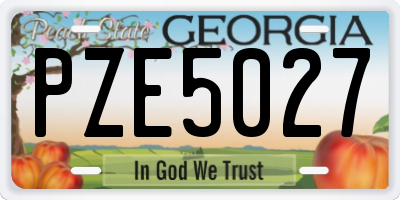 GA license plate PZE5027