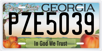 GA license plate PZE5039
