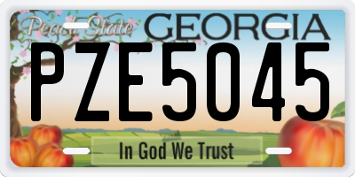 GA license plate PZE5045
