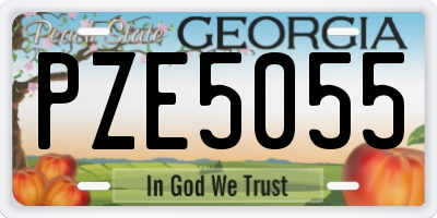 GA license plate PZE5055