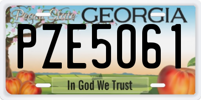 GA license plate PZE5061