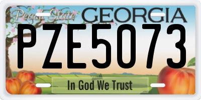GA license plate PZE5073