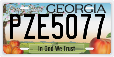 GA license plate PZE5077