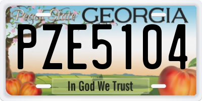 GA license plate PZE5104