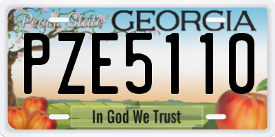 GA license plate PZE5110
