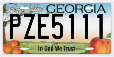 GA license plate PZE5111