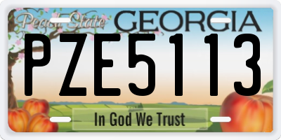 GA license plate PZE5113