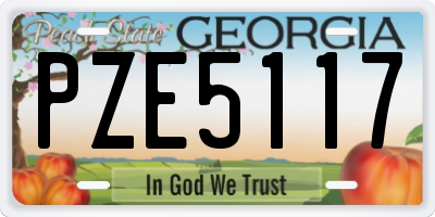 GA license plate PZE5117
