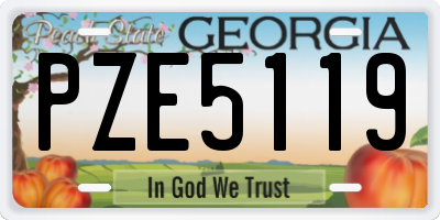 GA license plate PZE5119