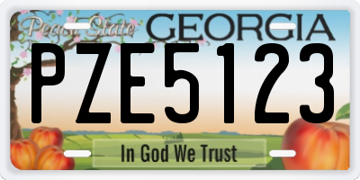 GA license plate PZE5123