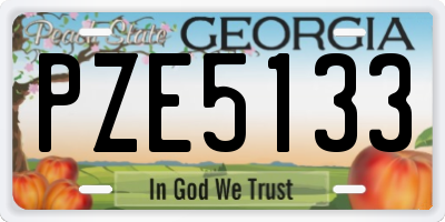 GA license plate PZE5133