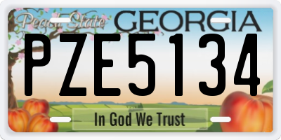 GA license plate PZE5134
